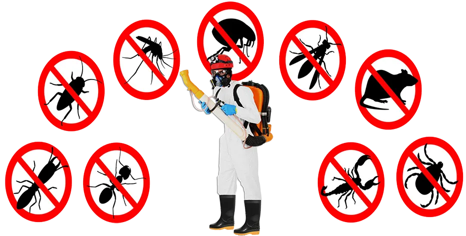 Controle de Pragas na Cidade Monções